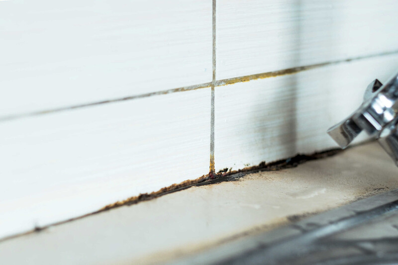 Schimmel entfernen Basel von Fugenix GmbH in Basel